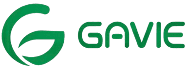 Gạo Việt Holdings