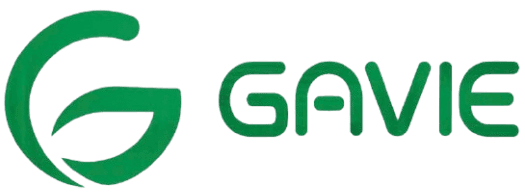 Gạo Việt Holdings